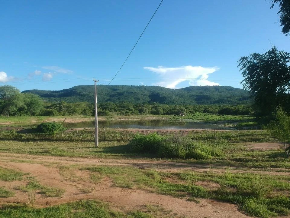 Fotografia real 6